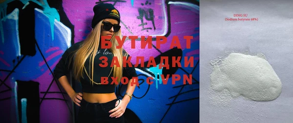 индика Гусь-Хрустальный