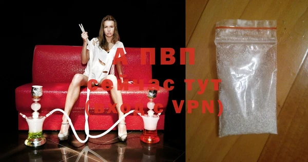 индика Гусь-Хрустальный