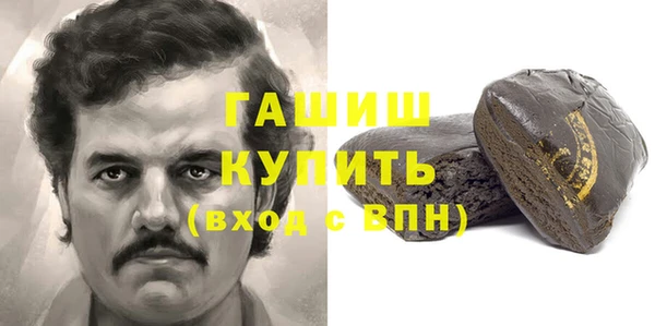 индика Гусь-Хрустальный