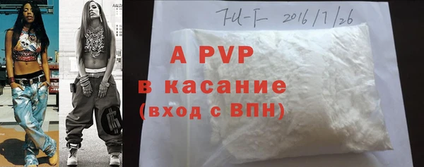 индика Гусь-Хрустальный