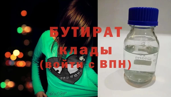 индика Гусь-Хрустальный