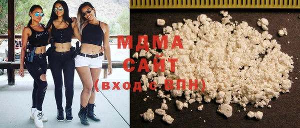 индика Гусь-Хрустальный