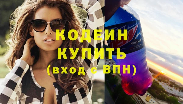 индика Гусь-Хрустальный