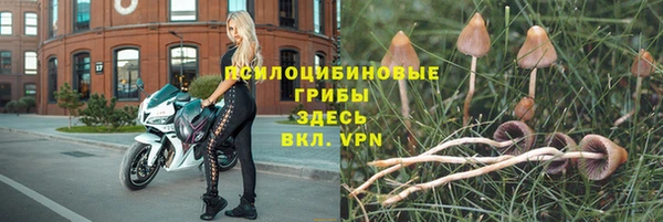 экстази Гусиноозёрск