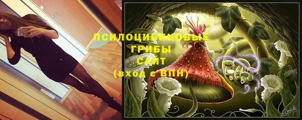 экстази Гусиноозёрск