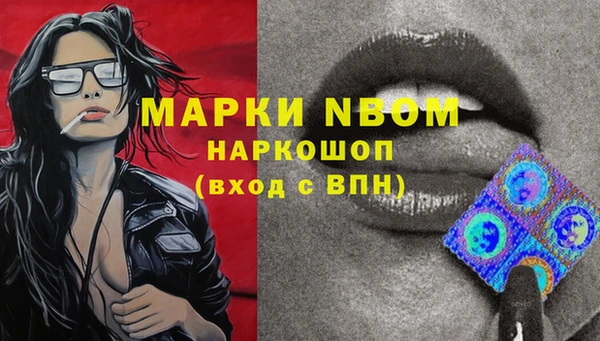 индика Гусь-Хрустальный
