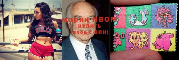индика Гусь-Хрустальный