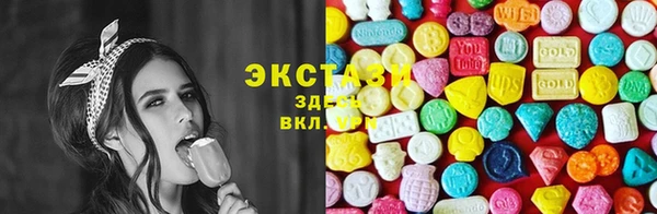 индика Гусь-Хрустальный