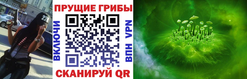купить   Трубчевск  Псилоцибиновые грибы мухоморы 
